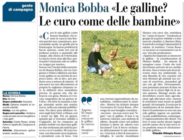 Articolo