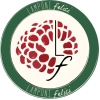 lamponi_felici_logo_512