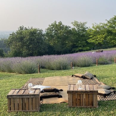 lavandeto-antico-casale-4